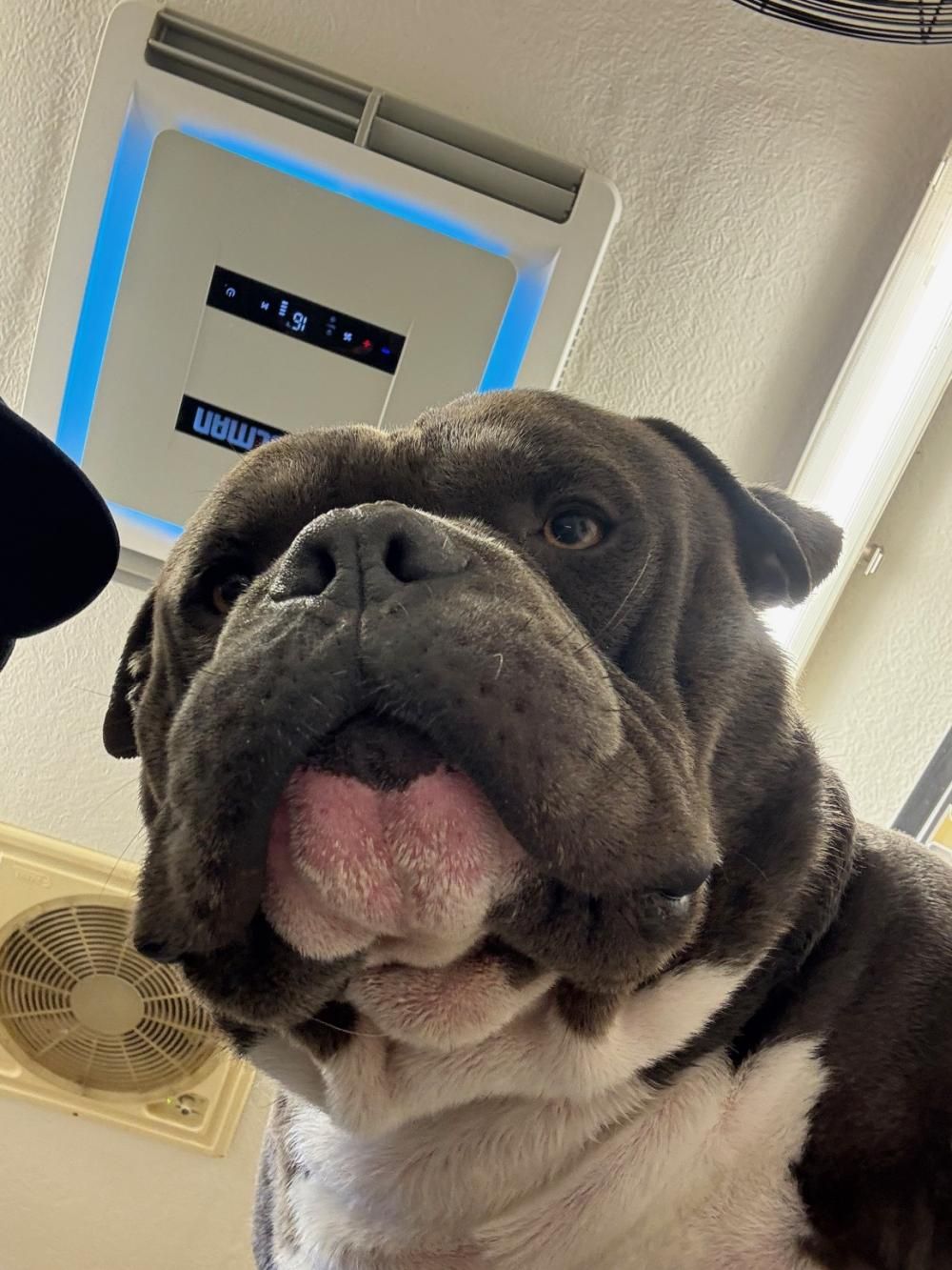 myCOOLMAN CCA3000, 10200 BTU/h Inverter AIR Conditioner - Image 12